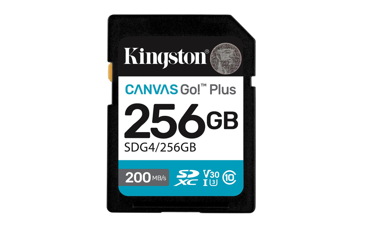 Memoria Sdxc Kingston 256Gb Canvas Goplus G4 C10 Uhs-I V30 (SDG4/256GB)