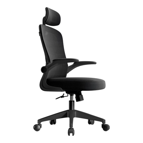 Silla De Oficina Acteck Base Espuma Alta Suavidad Marco Y Malla Negra