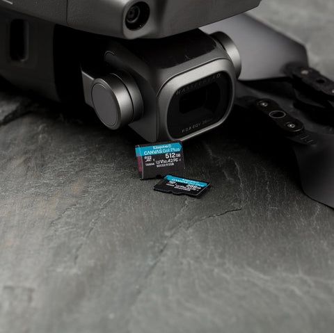 Memoria Kingston Micro Sdxc Canvas Go Plus 170R A2 U3 V30 (Sdcg3/1Tb)