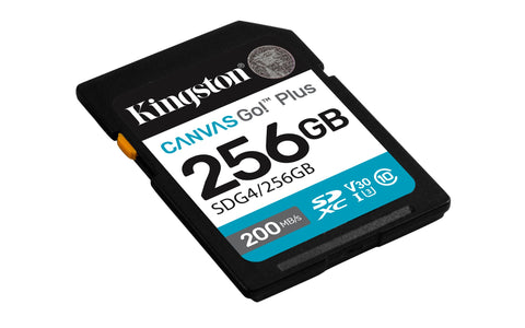Memoria Sdxc Kingston 256Gb Canvas Goplus G4 C10 Uhs-I V30 (SDG4/256GB)