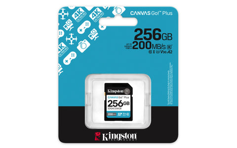 Memoria Sdxc Kingston 256Gb Canvas Goplus G4 C10 Uhs-I V30 (SDG4/256GB)