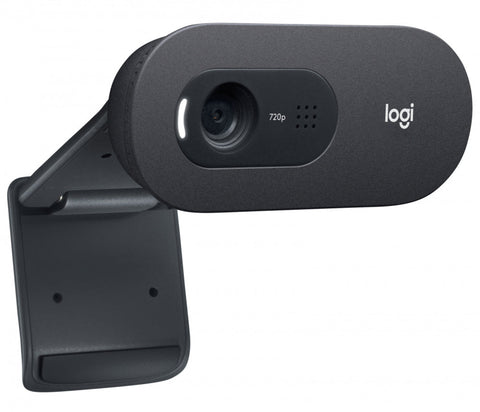 Cámara Web Logitech C505 Videoconferencias Hd 720p (960-001367)