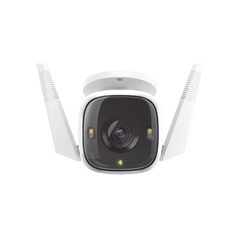 Camara Wi-Fi De Seguridad Para Exteriores Tp Link  Tapo C320ws