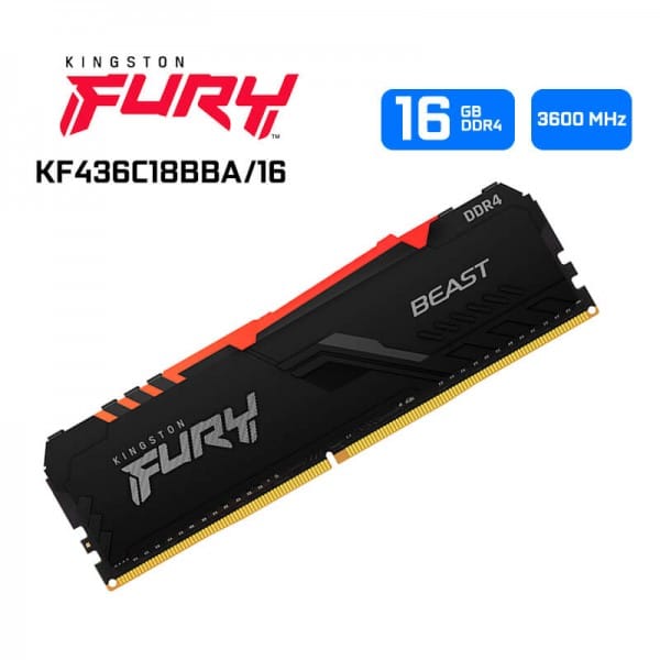 Memoria Ddr4 Kingston Furybeast Rgb 16gb 3600mhz Dimm (Kf436c18bba/16)