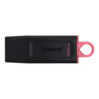 Memoria Flash Kingston 256 Gb Usb 3.2 Gen 1 (Dtx/256gb)