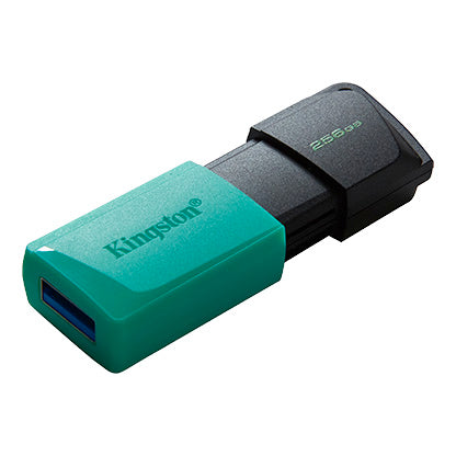 Memoria Flash Kingston 256gb Usb 3.2 Gen 1 Exodia M(Dtxm/256gb)