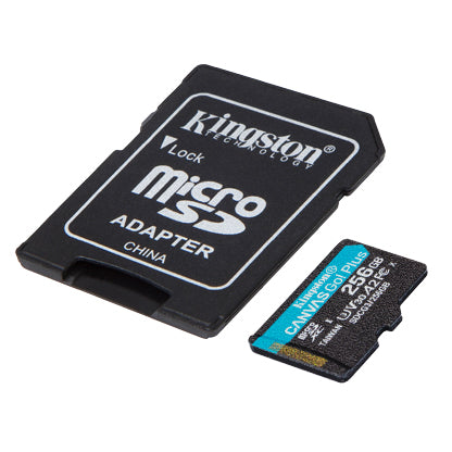 Memoria Kingston Micro Sdxc Canvas Go Plus 170r A2 U3 V30 (Sdcg3/256gb)