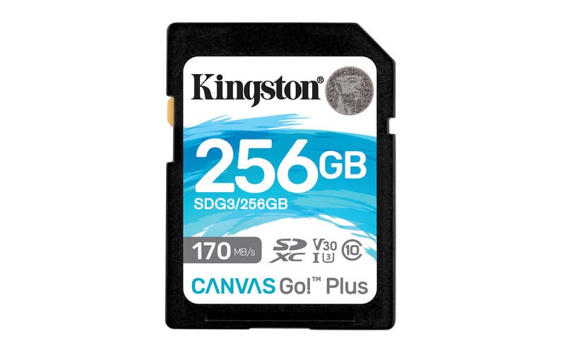 Memoria kingston sdxc canvas go! Plus 170rc10 uhs-i u3 v30 (sdg3/256gb)