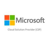 Microsoft Csp Office Ltsc Professional Plus 2021 - Commercial - Perpetua