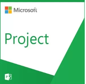 Microsoft Csp Project Standard 2021 - Commercial - Perpetua