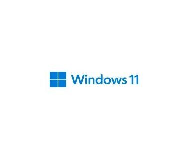 Microsoft Oem Windows 11 Pro 64 Bits Español (Fqc-10553)