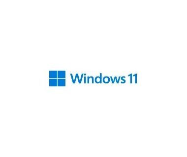 Microsoft Oem Windows 11 Pro 64 Bits Español (Fqc-10553)