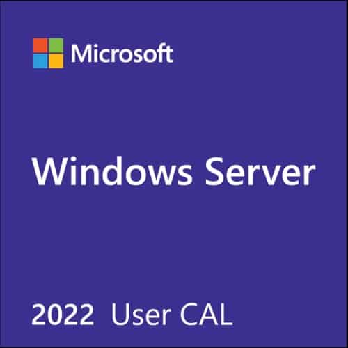Microsoft Windows Server Cal Esp 2022 Oem - 1 Usuario (R18-06458)